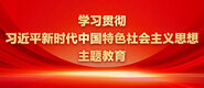 操农村女人屄淫秽视频学习贯彻习近平新时代中国特色社会主义思想主题教育_fororder_ad-371X160(2)